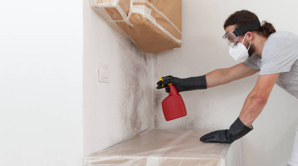 Professional Bathroom Mold Removal technician working in Ho-Ho-Kus, NJ