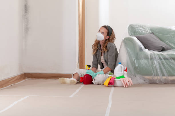 Reliable Bathroom Mold Removal contractor in Ho-Ho-Kus, NJ by Mold Remediation HQ